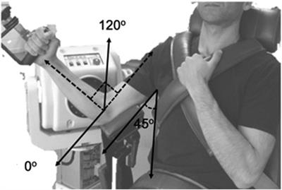 Magnitude and direction of elbow torque asymmetries in manual wheelchair users
